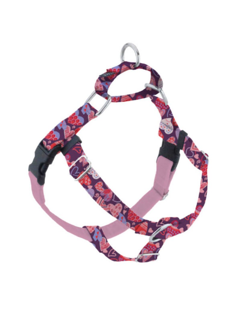 2 Hounds Design 2 Hounds Design Earthstyle | Medium 1" Freedom Harness & Leash - Wild Hearts