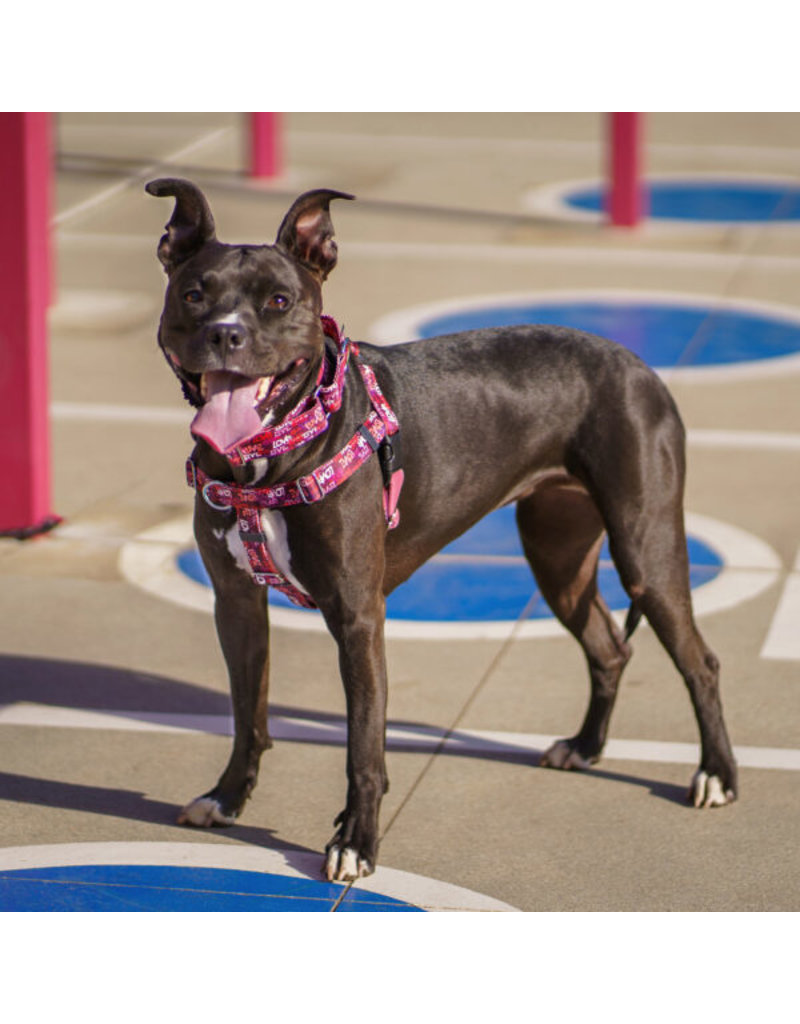 2 Hounds Design 2 Hounds Design Earthstyle | Large 1" Freedom Harness & Leash - Love Graffiti Red