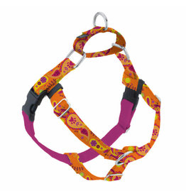 2 Hounds Design 2 Hounds Design Earthstyle | Large 1" Freedom Harness & Leash - Orange Paisley