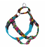 2 Hounds Design 2 Hounds Design Earthstyle | Large 1" Freedom Harness & Leash - Paper Flags