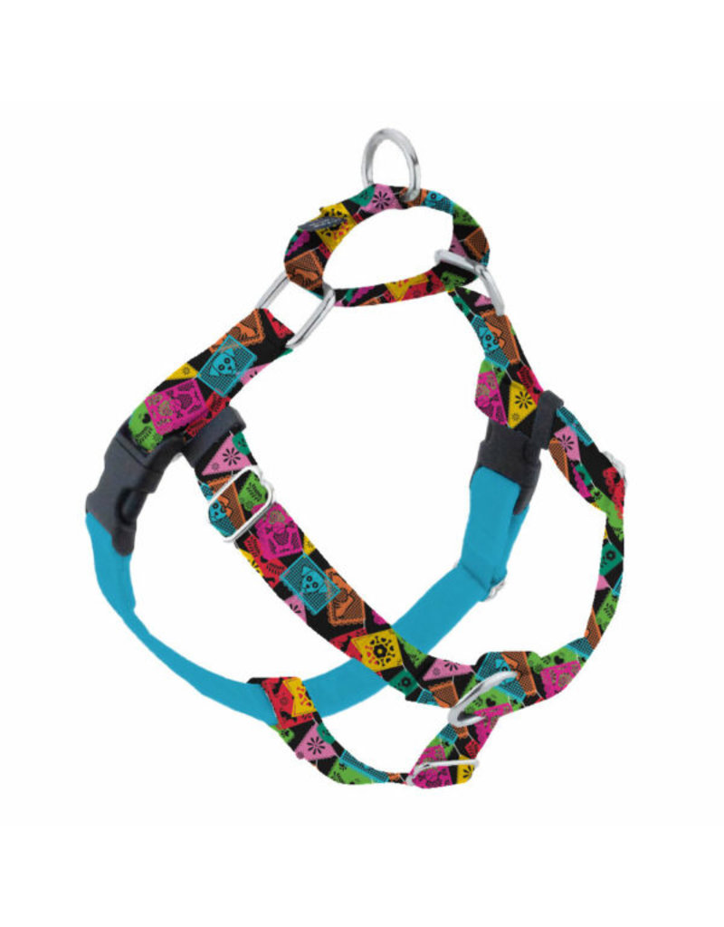 2 Hounds Design 2 Hounds Design Earthstyle | Large 1" Freedom Harness & Leash - Paper Flags