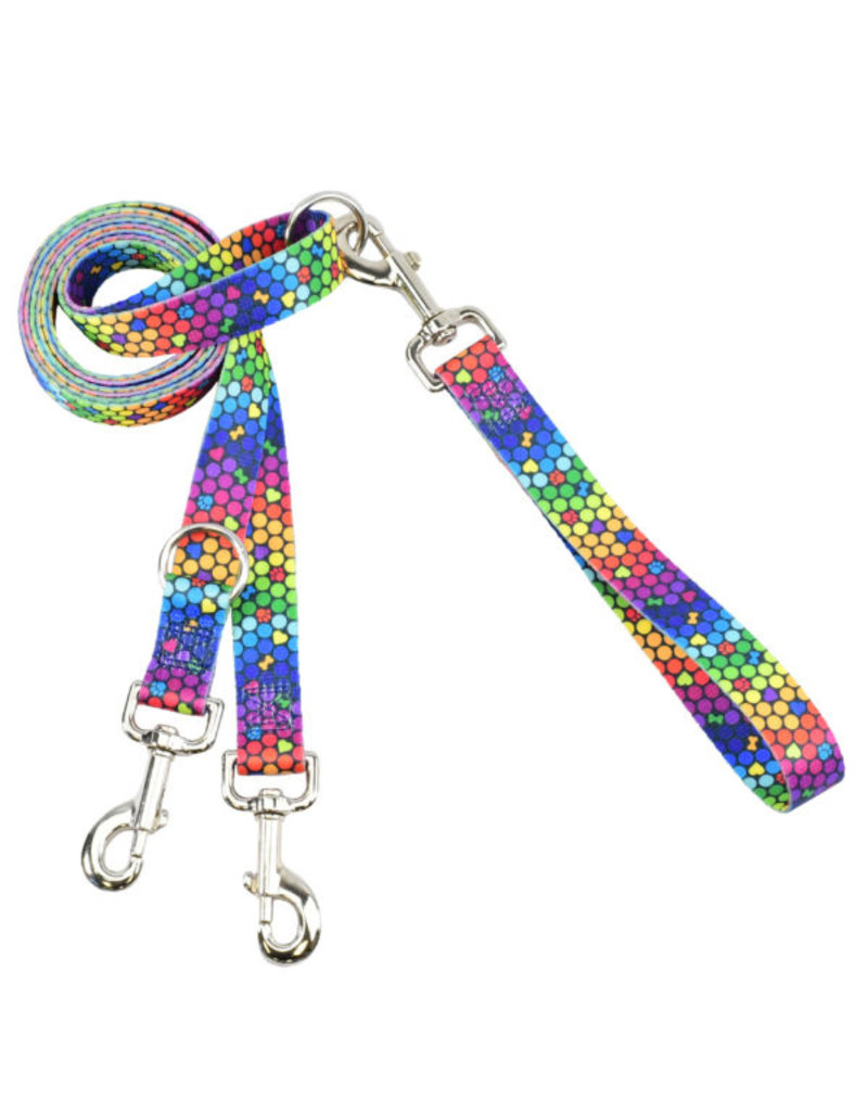 2 Hounds Design 2 Hounds Design Earthstyle | Large 1" Freedom Harness & Leash - ROY G BIV