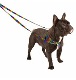 2 Hounds Design 2 Hounds Design Earthstyle | Large 1" Freedom Harness & Leash - ROY G BIV