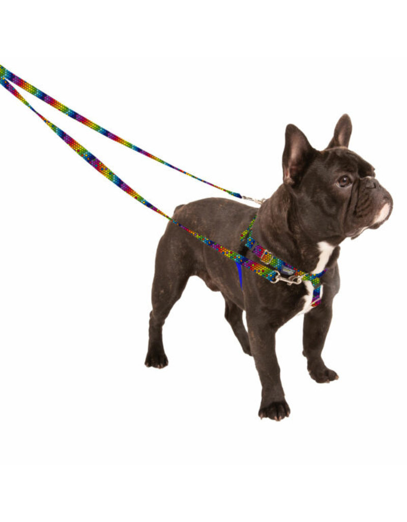 2 Hounds Design 2 Hounds Design Earthstyle | Large 1" Freedom Harness & Leash - ROY G BIV