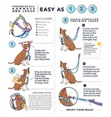 2 Hounds Design 2 Hounds Design Earthstyle | Large 1" Freedom Harness & Leash - ROY G BIV