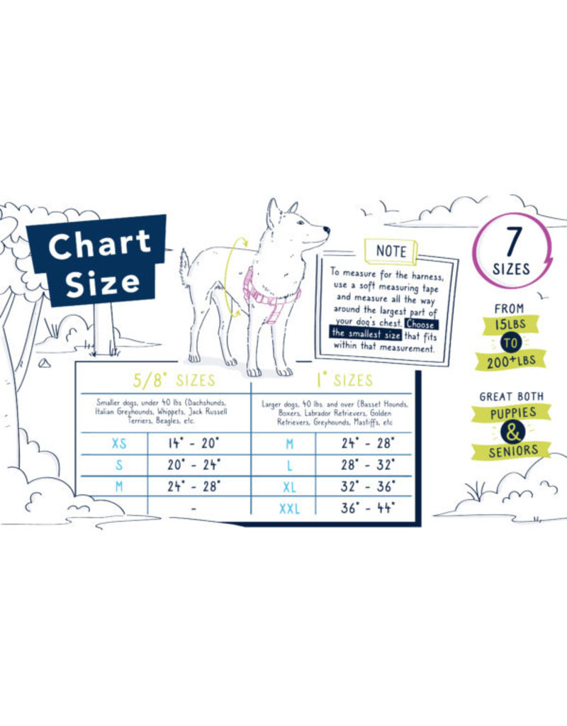 2 Hounds Design 2 Hounds Design Earthstyle | Large 1" Freedom Harness & Leash - ROY G BIV