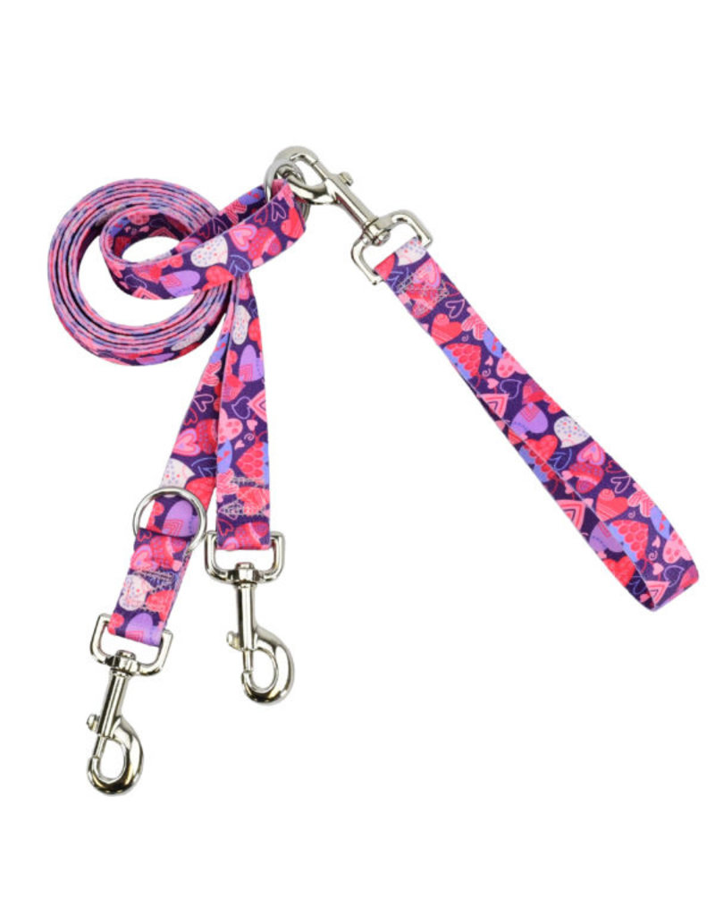 2 Hounds Design 2 Hounds Design Earthstyle | Large 1" Freedom Harness & Leash - Wild Hearts