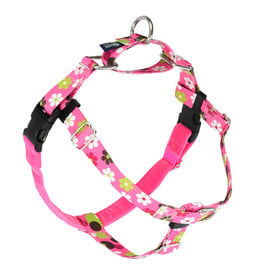 2 Hounds Design 2 Hounds Design Earthstyle | XLarge 1" Freedom Harness & Leash - Daisy Dot