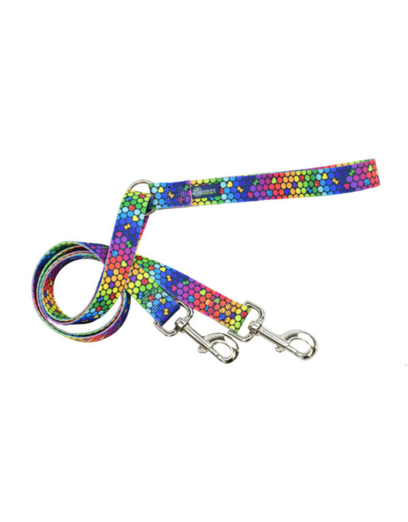 2 Hounds Design 2 Hounds Design Earthstyle | XLarge 1" Freedom Harness & Leash - ROY G BIV