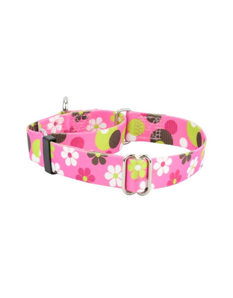 2 Hounds Design 2 Hounds Design Earthstyle | Keystone 5/8" Small Collar Side Release, Daisy Dot