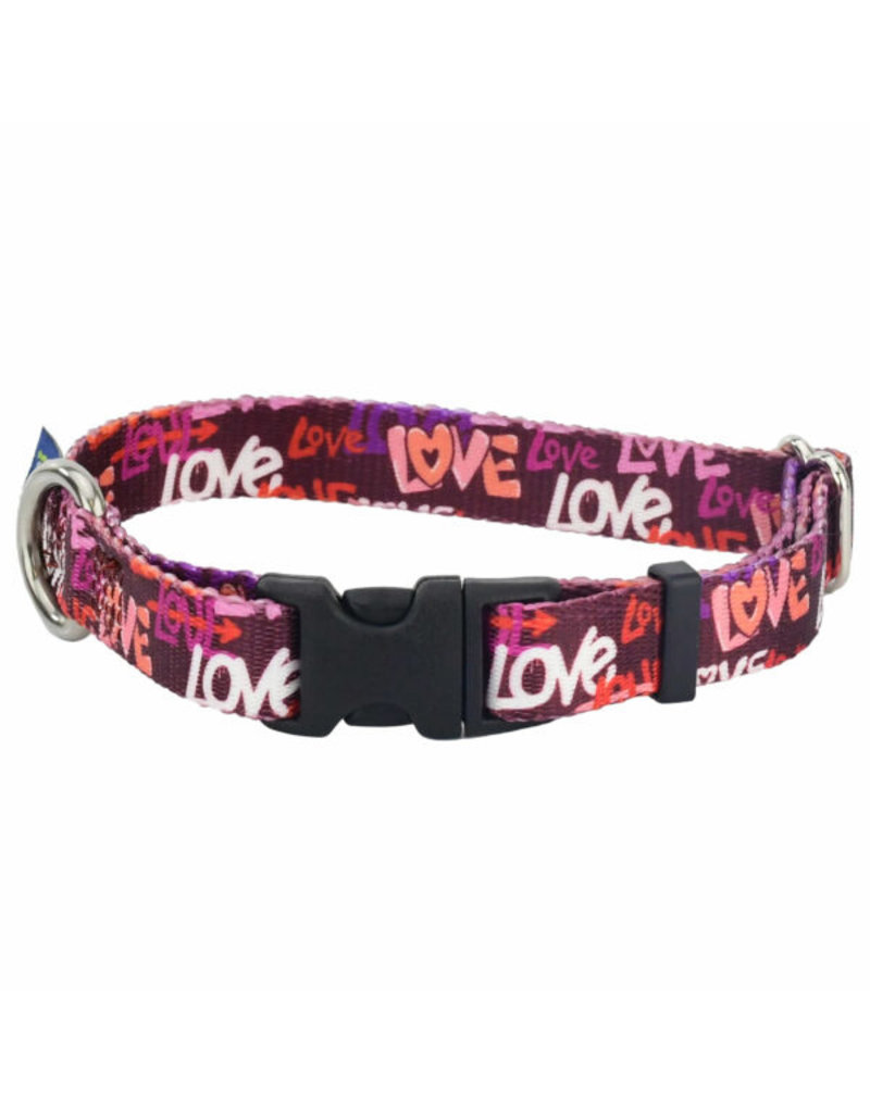 2 Hounds Design 2 Hounds Design Earthstyle | Keystone 5/8" Small Collar Side Release, Love Graffiti Red