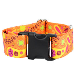 2 Hounds Design 2 Hounds Design Earthstyle | Keystone 5/8" Small Collar Side Release, Orange Paisley