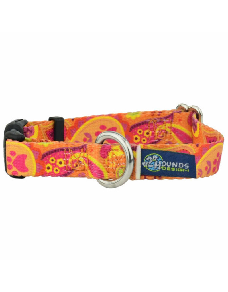 2 Hounds Design 2 Hounds Design Earthstyle | Keystone 5/8" Small Collar Side Release, Orange Paisley