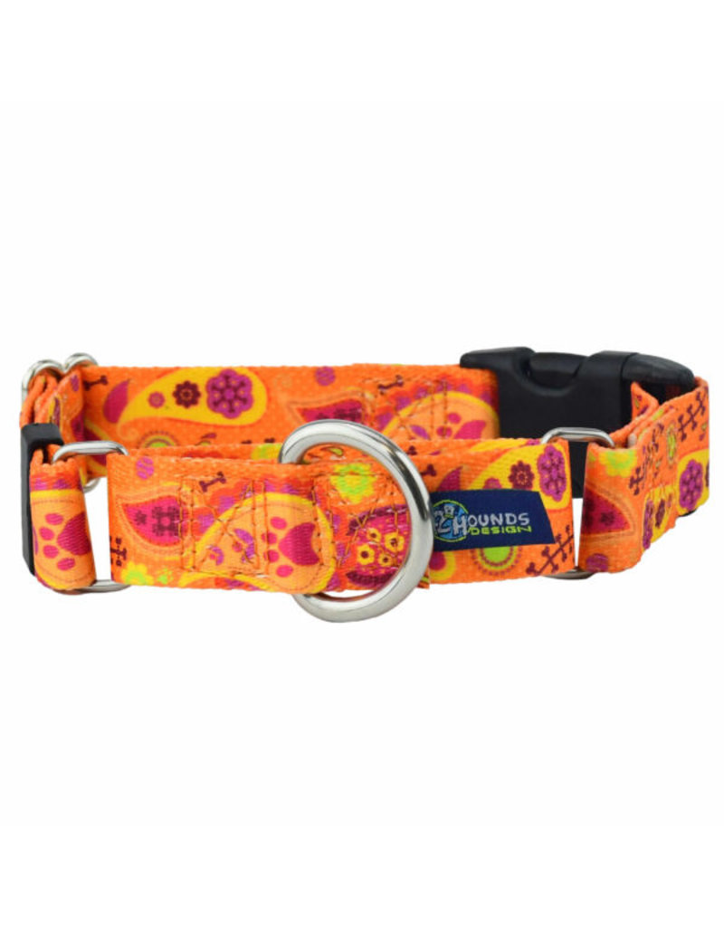 2 Hounds Design 2 Hounds Design Earthstyle | Keystone 5/8" Small Collar Side Release, Orange Paisley