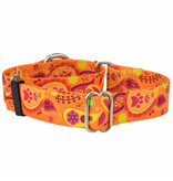 2 Hounds Design 2 Hounds Design Earthstyle | Keystone 5/8" Small Collar Side Release, Orange Paisley