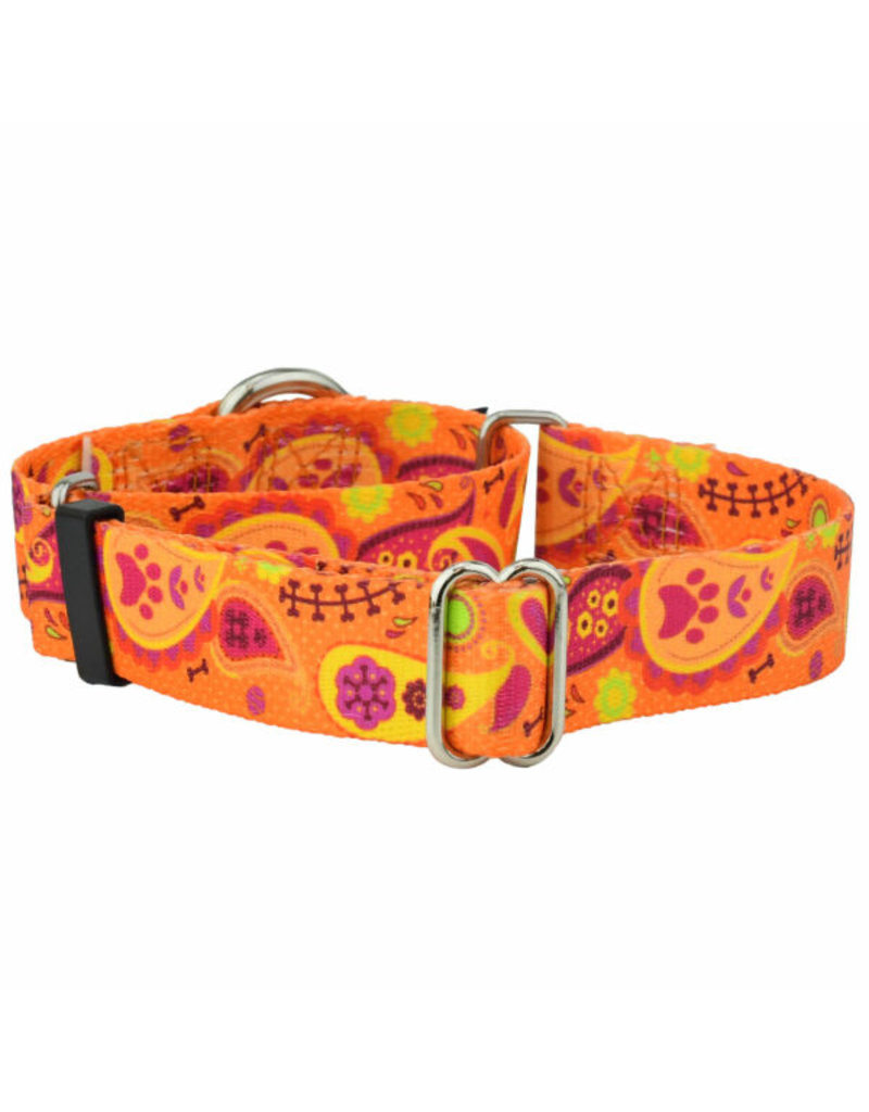 2 Hounds Design 2 Hounds Design Earthstyle | Keystone 5/8" Small Collar Side Release, Orange Paisley