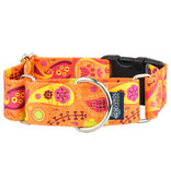 2 Hounds Design 2 Hounds Design Earthstyle | Keystone 5/8" Small Collar Side Release, Orange Paisley