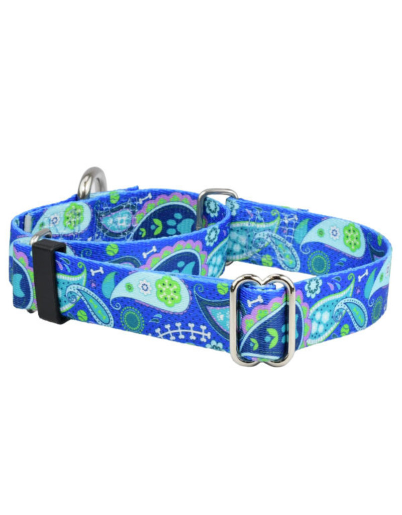 2 Hounds Design 2 Hounds Design Earthstyle | Keystone 5/8" Small Collar Side Release, Paw Paisley