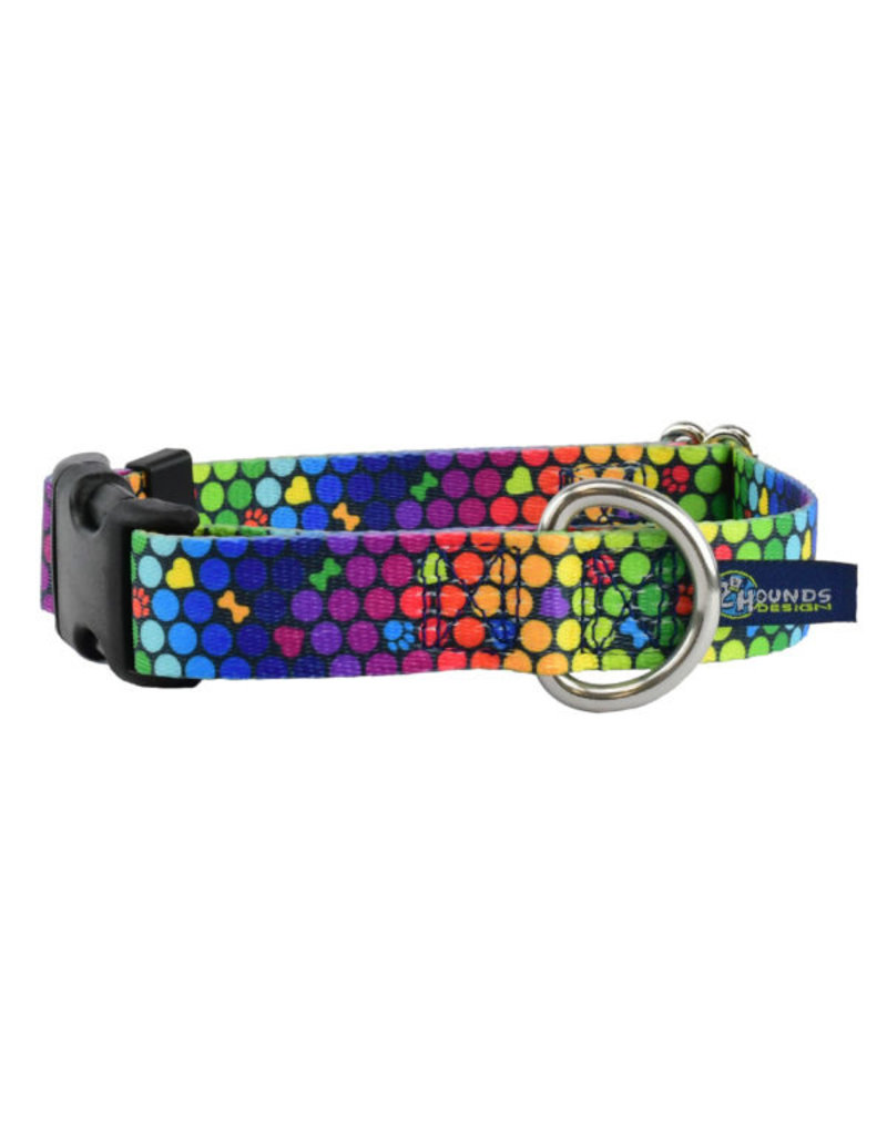 2 Hounds Design 2 Hounds Design Earthstyle | Keystone 5/8" Small Collar Side Release, ROY G BIV