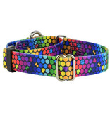 2 Hounds Design 2 Hounds Design Earthstyle | Keystone 5/8" Small Collar Side Release, ROY G BIV