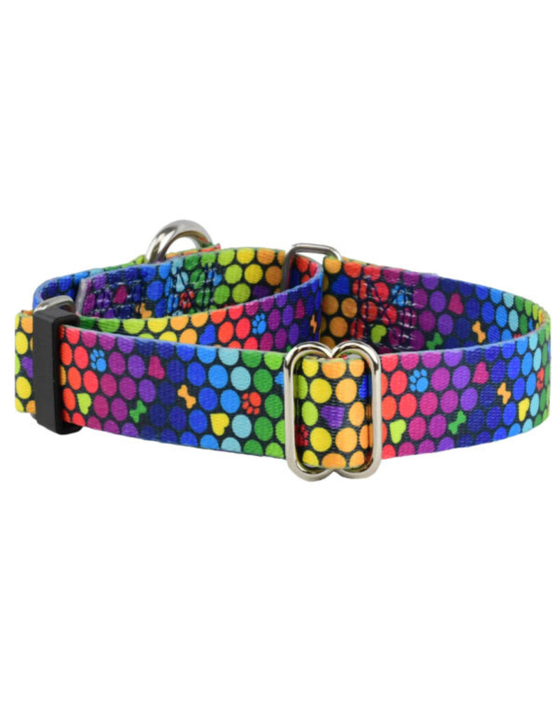 2 Hounds Design 2 Hounds Design Earthstyle | Keystone 5/8" Small Collar Side Release, ROY G BIV