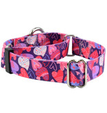 2 Hounds Design 2 Hounds Design Earthstyle | Keystone 5/8" Small Collar Side Release, Wild Hearts