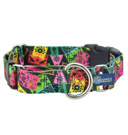 2 Hounds Design 2 Hounds Design Earthstyle | Keystone 1" Medium Collar Side Release, Paper Flags