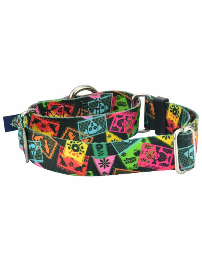 2 Hounds Design 2 Hounds Design Earthstyle | Keystone 1" Medium Collar Side Release, Paper Flags