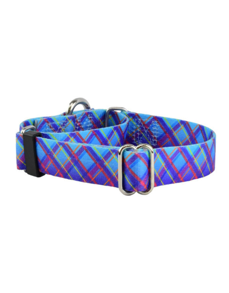 2 Hounds Design 2 Hounds Design Earthstyle | Keystone 1" Medium Collar Side Release, Twilight Glow Blue Plaid