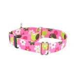 2 Hounds Design 2 Hounds Design Earthstyle | Keystone 1" Large Collar Side Release, Daisy Dot