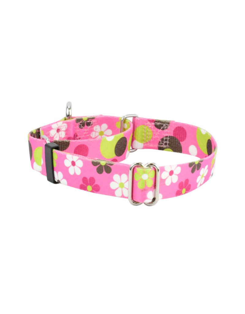 2 Hounds Design 2 Hounds Design Earthstyle | Keystone 1" Large Collar Side Release, Daisy Dot