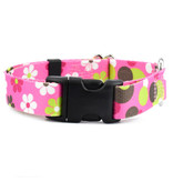 2 Hounds Design 2 Hounds Design Earthstyle | Keystone 1" Large Collar Side Release, Daisy Dot