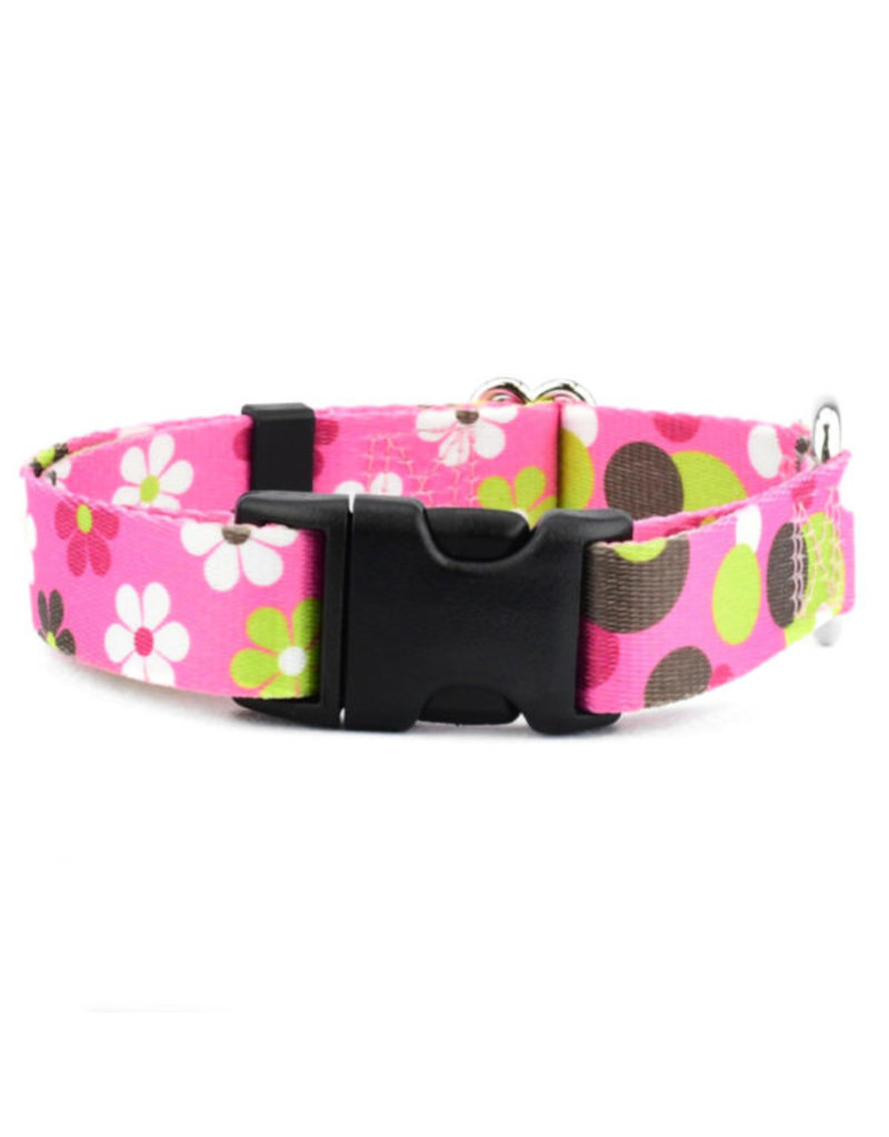 2 Hounds Design 2 Hounds Design Earthstyle | Keystone 1" Large Collar Side Release, Daisy Dot