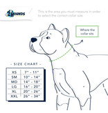 2 Hounds Design 2 Hounds Design Earthstyle | Keystone 1" Large Collar Side Release, Daisy Dot