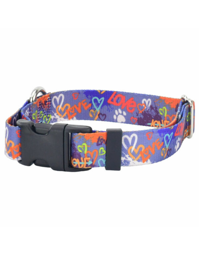 2 Hounds Design 2 Hounds Design Earthstyle | Keystone 1" Large Collar Side Release, Love Graffiti Blue