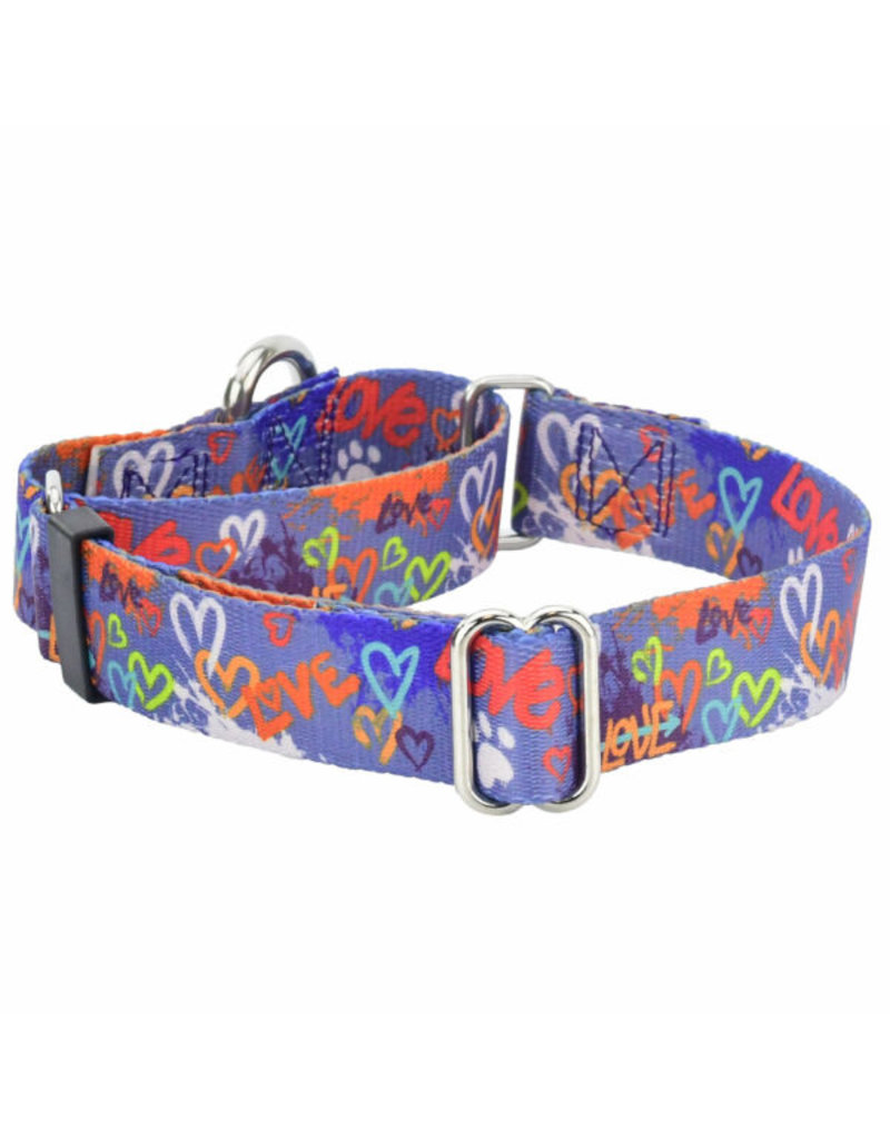 2 Hounds Design 2 Hounds Design Earthstyle | Keystone 1" Large Collar Side Release, Love Graffiti Blue
