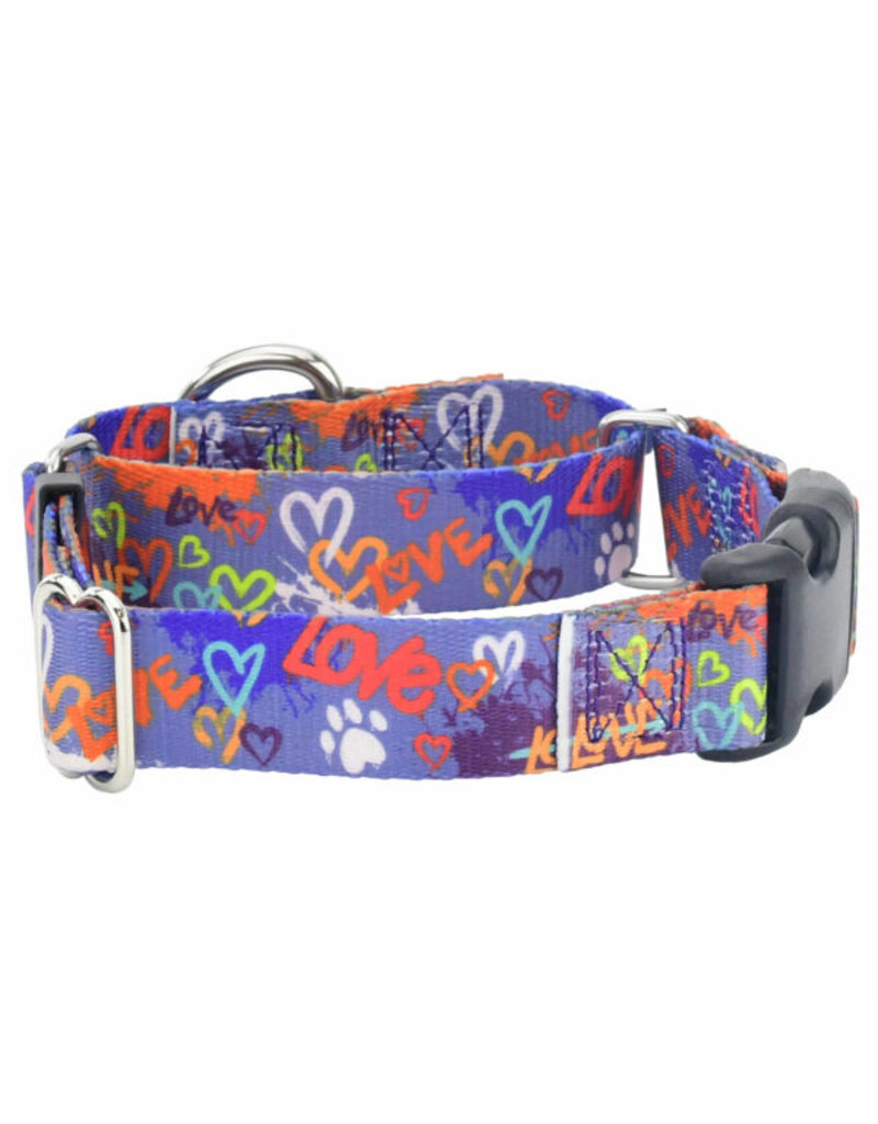 2 Hounds Design 2 Hounds Design Earthstyle | Keystone 1" Large Collar Side Release, Love Graffiti Blue