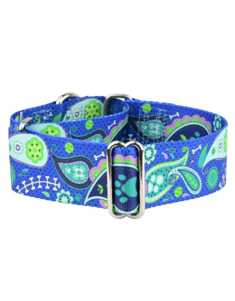 2 Hounds Design 2 Hounds Design Earthstyle | Keystone 1" Large Collar Side Release, Paw Paisley