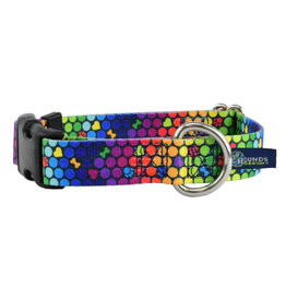 2 Hounds Design 2 Hounds Design Earthstyle | Keystone 1" Large Collar Side Release, ROY G BIV