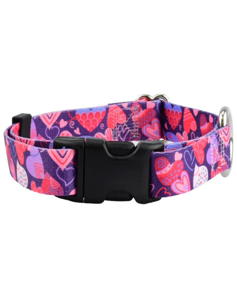 What is a Side Release Dog Collar? - 2 Hounds Design
