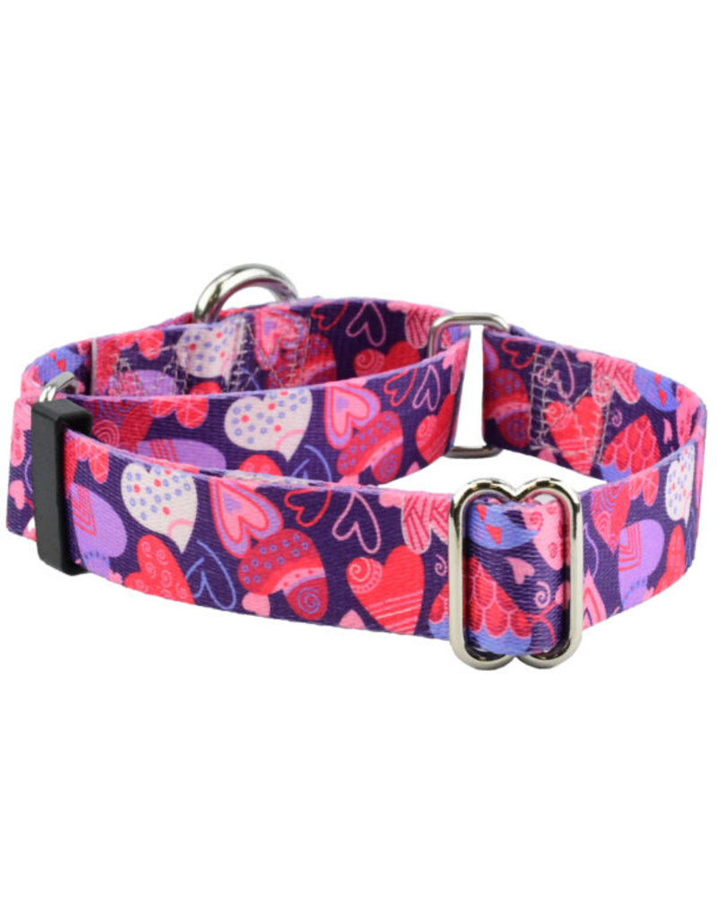 2 Hounds Design 2 Hounds Design Earthstyle | Keystone 1" Large Collar Side Release, Wild Hearts