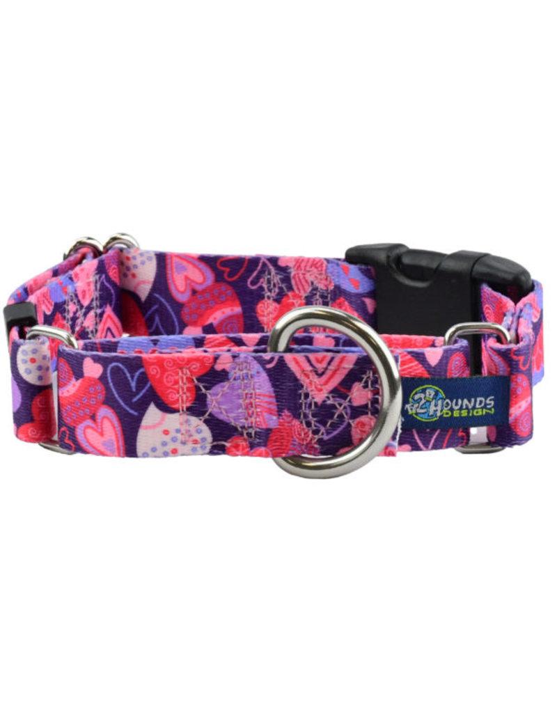 2 Hounds Design 2 Hounds Design Earthstyle | Keystone 1" XLarge Collar Side Release, Wild Hearts