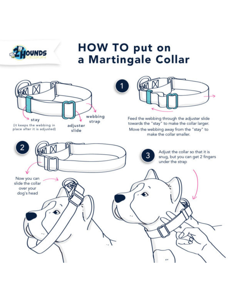 2 Hounds Design 2 Hounds Design Earthstyle | Keystone 1" XLarge Collar Side Release, ROY G BIV