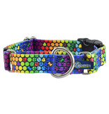 2 Hounds Design 2 Hounds Design Earthstyle | Keystone 1" XLarge Collar Side Release, ROY G BIV