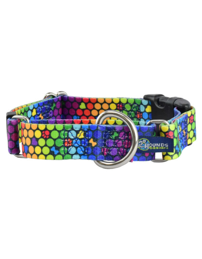 2 Hounds Design 2 Hounds Design Earthstyle | Keystone 1" XLarge Collar Side Release, ROY G BIV
