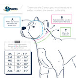 2 Hounds Design 2 Hounds Design Earthstyle | Keystone 1" XLarge Collar Side Release, ROY G BIV