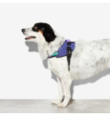 Zee.Dog Zee Dog FlyHarness | Wicked Size 2