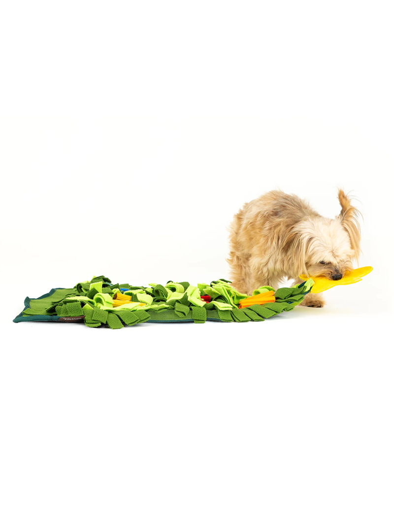 Pet Parents Forager Bowl  Snuffle Mat Meadow Ponds Natural Medium - The  Pet Beastro