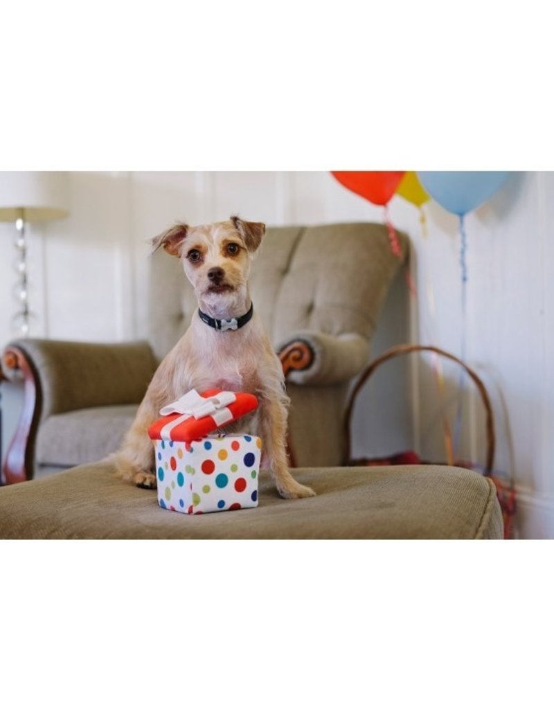PLAY PLAY Dog Toys Party Time | Pawfect Present Mini
