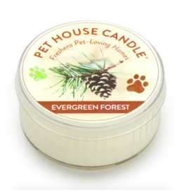 Pet House Pet House Candles | Mini Evergreen Forest